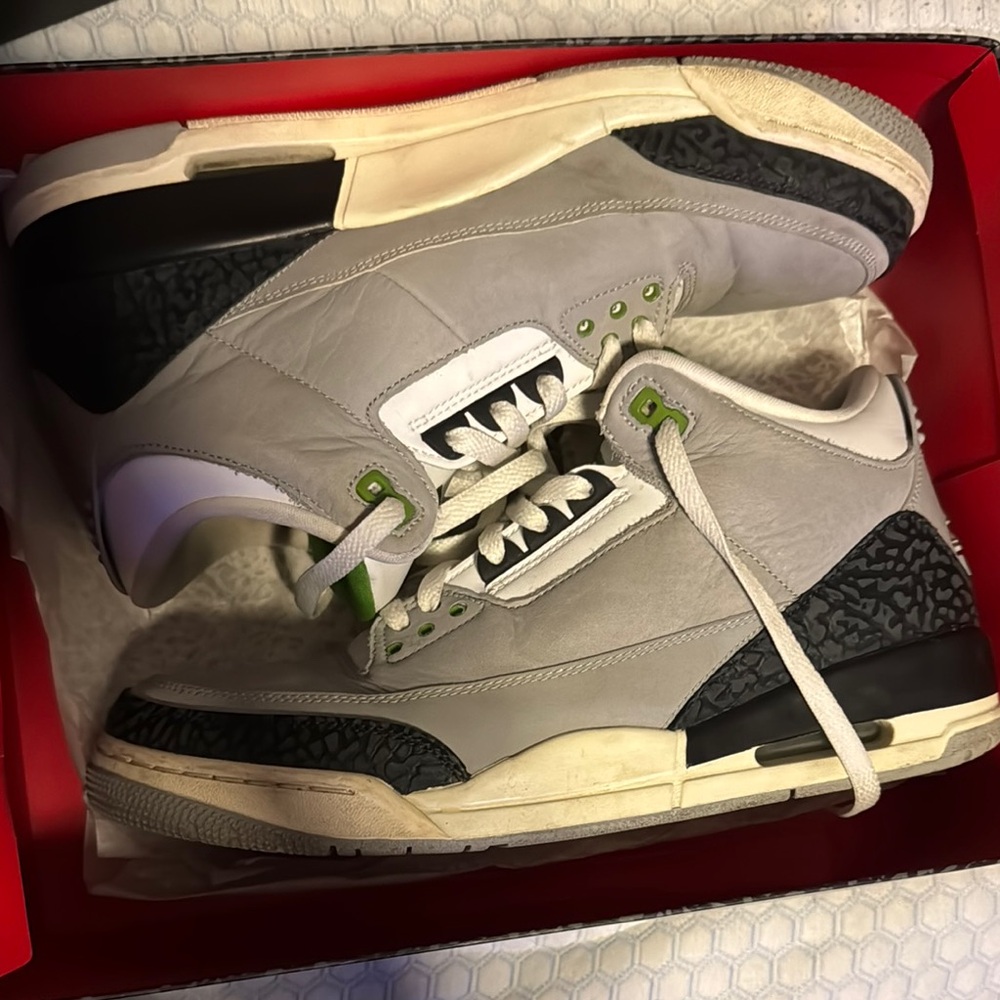 Jordan 3 chlorophyll